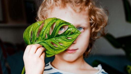Kind mit einem Pflanzenblatt vor dem Gesicht, schaut durch ein Loch im Blatt hindurch
